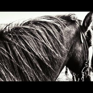 Meet your Posher, Karen